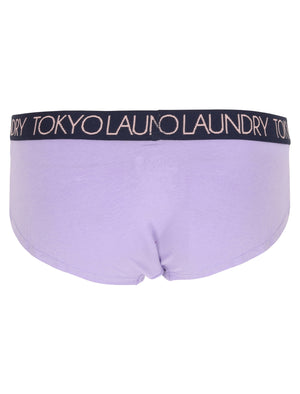 Jenny (5 Pack) Assorted Briefs In Violet Tulip / Peacoat Blue / Bridal Rose / Aqua Haze / Peacoat Blue - Tokyo Laundry