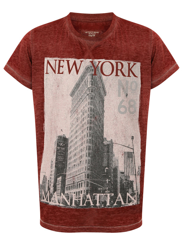 Boys K-Danbury Park Burnout T-Shirt in Oxblood - Tokyo Laundry Kids