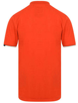 Kaikoura Applique Cotton Pique Polo Shirt in Formula One Red - Tokyo Laundry