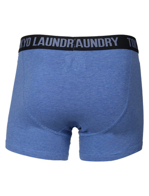 Kings Cross Boxer Shorts in Optic White / Blue Marl - Tokyo Laundry