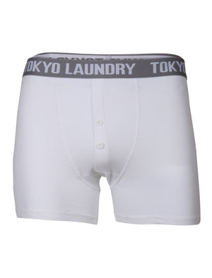 Kings Cross Boxer Shorts in Optic White / Blue Marl - Tokyo Laundry