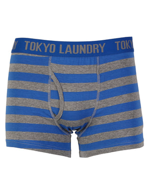 Tokyo Laundry Lannister boxer shorts