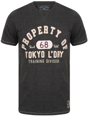Louisburg Applique Cotton T-Shirt In Charcoal Marl - Tokyo Laundry