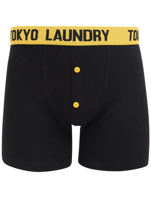 Maldon 2 (2 Pack) Boxer Shorts Set in Green / Solar Yellow - Tokyo Laundry