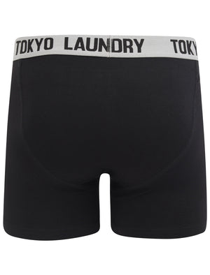 Maldon 2 (2 Pack) Boxer Shorts Set in Light Grey Marl / Barados Cherry - Tokyo Laundry
