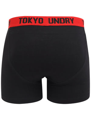 Maldon 2 (2 Pack) Boxer Shorts Set in Light Grey Marl / Barados Cherry - Tokyo Laundry