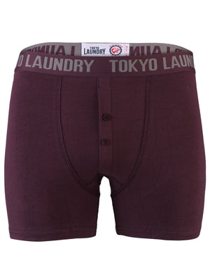 Tokyo Laundry Malone grey & purple boxers ( 2 Pack)
