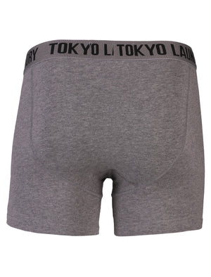 Tokyo Laundry Malone grey & purple boxers ( 2 Pack)