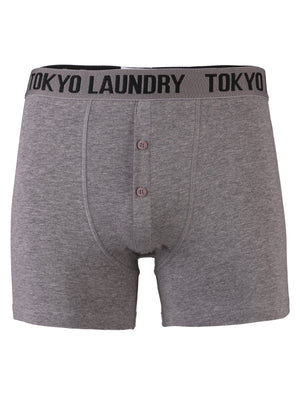 Tokyo Laundry Malone grey & purple boxers ( 2 Pack)