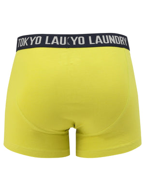 Mission 2 (2 Pack) Striped Boxer Shorts Set In Apple Green / Navy - Tokyo Laundry