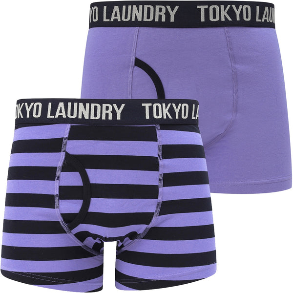 Mission 2 (2 Pack) Striped Boxer Shorts Set In Baja Blue / Navy - Tokyo Laundry