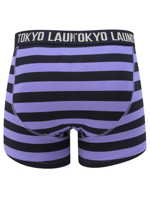 Mission 2 (2 Pack) Striped Boxer Shorts Set In Baja Blue / Navy - Tokyo Laundry