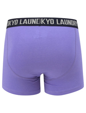 Mission 2 (2 Pack) Striped Boxer Shorts Set In Baja Blue / Navy - Tokyo Laundry