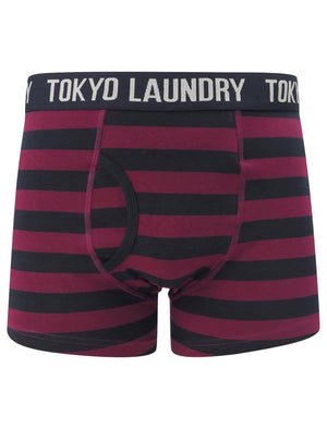 Mission 2 (2 Pack) Striped Boxer Shorts Set In Dark Purple / Navy - Tokyo Laundry
