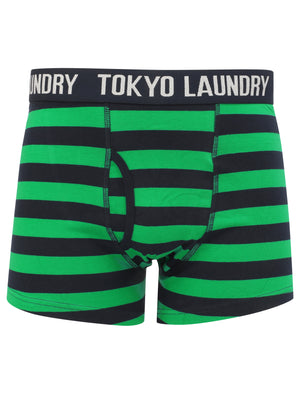 Newburgh (2 Pack) Striped Boxer Shorts Set in Jelly Bean Green / Navy - Tokyo Laundry