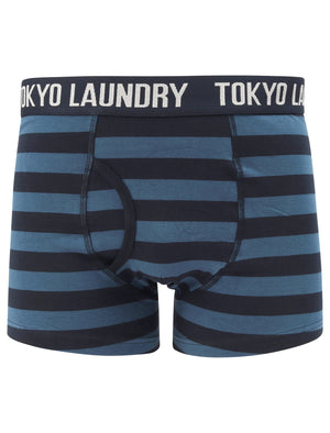 Morden 2 (2 Pack) Striped Boxer Shorts Set In Ensign Blue / Navy - Tokyo Laundry