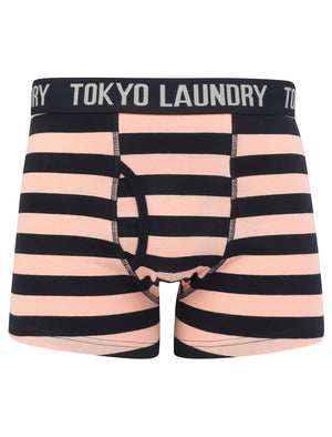 Morden (2 Pack) Striped Boxer Shorts Set in Coral Cloud / Navy - Tokyo Laundry