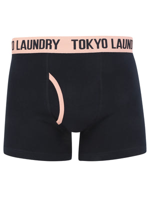 Morden (2 Pack) Striped Boxer Shorts Set in Coral Cloud / Navy - Tokyo Laundry