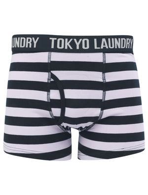 Morden (2 Pack) Striped Boxer Shorts Set in Languid Lavender / Navy - Tokyo Laundry