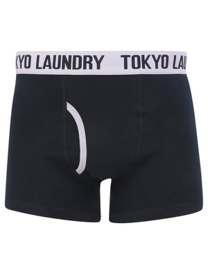 Morden (2 Pack) Striped Boxer Shorts Set in Languid Lavender / Navy - Tokyo Laundry