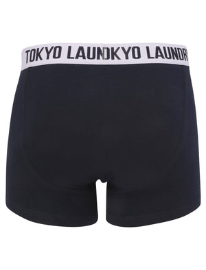Morden (2 Pack) Striped Boxer Shorts Set in Languid Lavender / Navy - Tokyo Laundry
