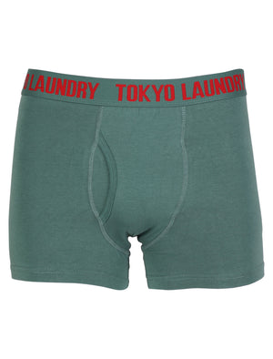 Tokyo Laundry Mount Choovio ( 2 Pack) boxer shorts Mallard Green & Dark Grey Marl