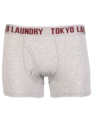 Tokyo Laundry Mount Choovio ( 2 Pack) boxer shorts Light Grey Marl & Dark Navy