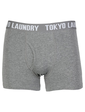 Tokyo Laundry Mount Choovio ( 2 Pack) boxer shorts Mallard Green & Dark Grey Marl