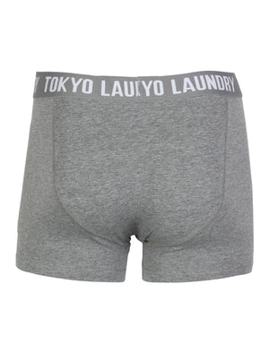 Tokyo Laundry Mount Choovio ( 2 Pack) boxer shorts Mallard Green & Dark Grey Marl