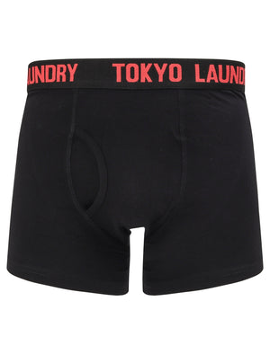 Murray 2 (2 Pack) Boxer Shorts Set in Paradise Pink / Blue Moon - Tokyo Laundry