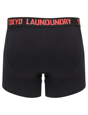 Murray 2 (2 Pack) Boxer Shorts Set in Paradise Pink / Blue Moon - Tokyo Laundry