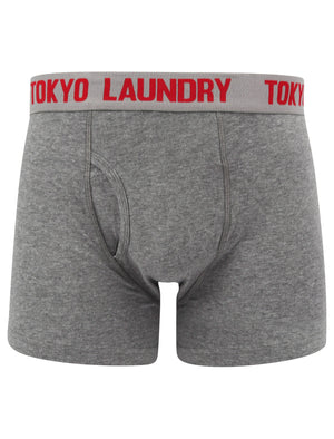 Myddleton 2 (2 Pack) Boxer Shorts Set In Barados Cherry / Mid Grey Marl - Tokyo Laundry