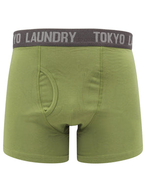 Myddleton 2 (2 Pack) Boxer Shorts Set In Green Eyes / Mid Grey Marl - Tokyo Laundry