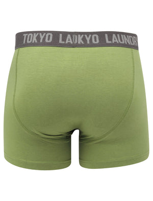 Myddleton 2 (2 Pack) Boxer Shorts Set In Green Eyes / Mid Grey Marl - Tokyo Laundry