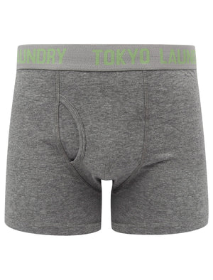 Myddleton 2 (2 Pack) Boxer Shorts Set In Green Eyes / Mid Grey Marl - Tokyo Laundry