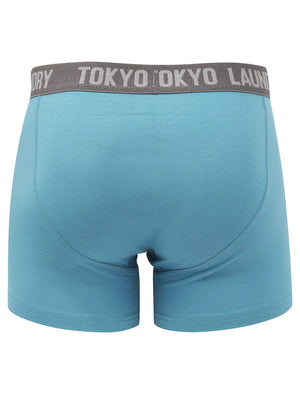 Myddleton 2 (2 Pack) Boxer Shorts Set In Niagara Falls Blue / Mid Grey Marl - Tokyo Laundry