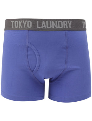 Myddleton (2 Pack) Boxer Shorts Set In Baja Blue / Mid Grey Marl - Tokyo Laundry