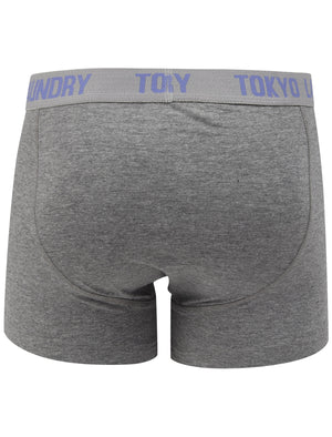 Myddleton (2 Pack) Boxer Shorts Set In Baja Blue / Mid Grey Marl - Tokyo Laundry