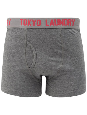 Myddleton (2 Pack) Boxer Shorts Set In Paradise Pink / Mid Grey Marl - Tokyo Laundry