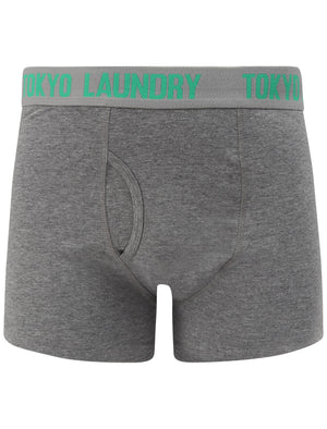 Myddleton (2 Pack) Boxer Shorts Set In Simply Green / Mid Grey Marl - Tokyo Laundry