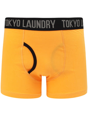 Nantes 2 (2 Pack) Boxer Shorts Set In Blazing Orange / Nautical Blue - Tokyo Laundry