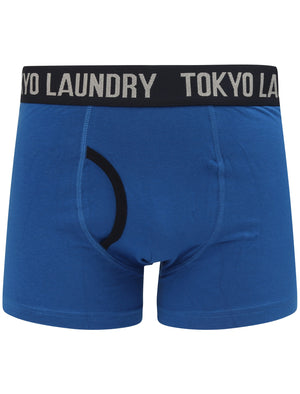 Nantes 2 (2 Pack) Boxer Shorts Set In Blazing Orange / Nautical Blue - Tokyo Laundry