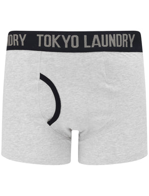 Nantes 2 (2 Pack) Boxer Shorts Set In Swedish Blue / Light Grey Marl - Tokyo Laundry