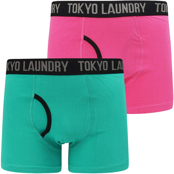 Nantes 2 (2 Pack) Boxer Shorts Set In Virdian Green / Raspberry Rose - Tokyo Laundry
