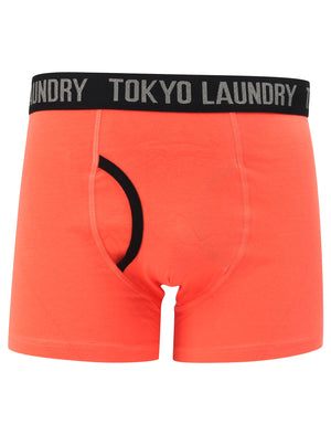 Nantes (2 Pack) Boxer Shorts Set In Emberglow / Baja Blue - Tokyo Laundry