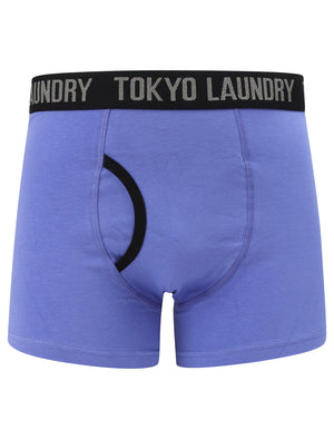 Nantes (2 Pack) Boxer Shorts Set In Emberglow / Baja Blue - Tokyo Laundry