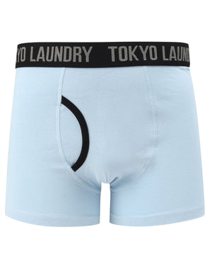 Nantes (2 Pack) Boxer Shorts Set In Light Grey Marl / Angel Falls Blue - Tokyo Laundry
