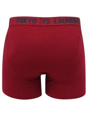 Nash 2 (2 Pack) Boxer Shorts Set in Beet Red / Mood Indigo - Tokyo Laundry