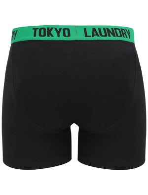 Nelson (2 Pack) Boxer Shorts Set in Jelly Bean Green / Raspberry Rose - Tokyo Laundry