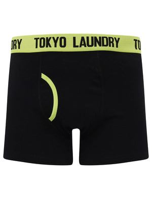 Nevern (2 Pack) Boxer Shorts Set in Green Glow / Rose Violet - Tokyo Laundry